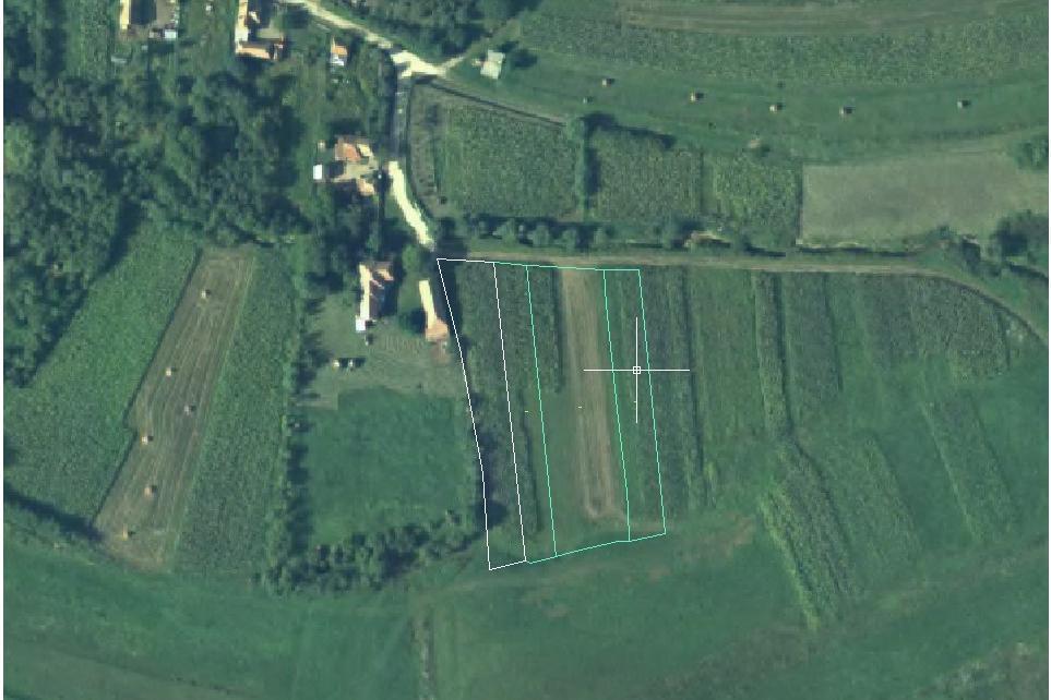 Vand-urgent-teren-Intravilan-in-sat-Plaiuri-comuna-Petrestii-de-jos-la-30-minute-de-Cluj-Napoca- Imaginea 1 pentru Vand-urgent-teren-Intravilan-in-sat-Plaiuri-comuna-Petrestii-de-jos-la-30-minute-de-Cluj-Napoca-