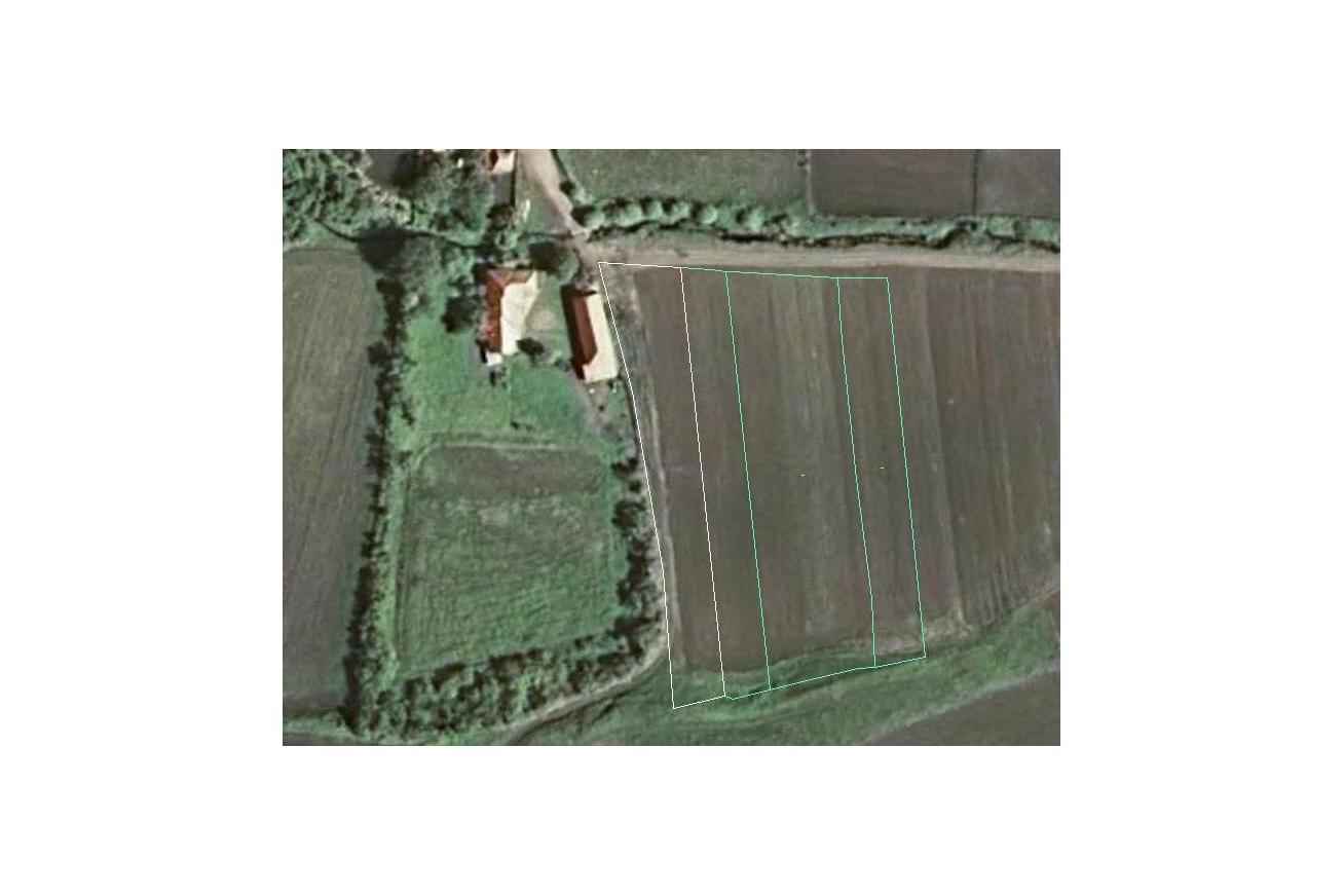Vand-urgent-teren-Intravilan-in-sat-Plaiuri-comuna-Petrestii-de-jos-la-30-minute-de-Cluj-Napoca- Imaginea 2 pentru Vand-urgent-teren-Intravilan-in-sat-Plaiuri-comuna-Petrestii-de-jos-la-30-minute-de-Cluj-Napoca-